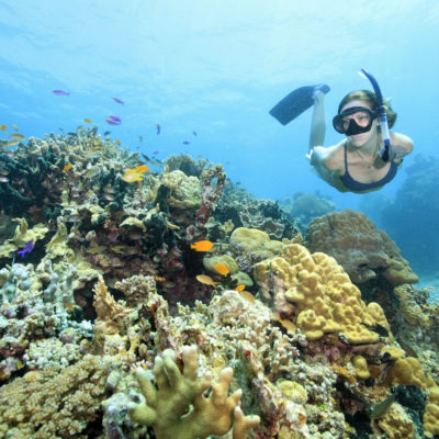 snorkelling tour off our house reef sumilon island
