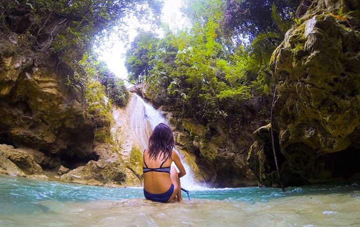 New Experiences swimming with Whale Sharks in Cebu Philippines, Oslob