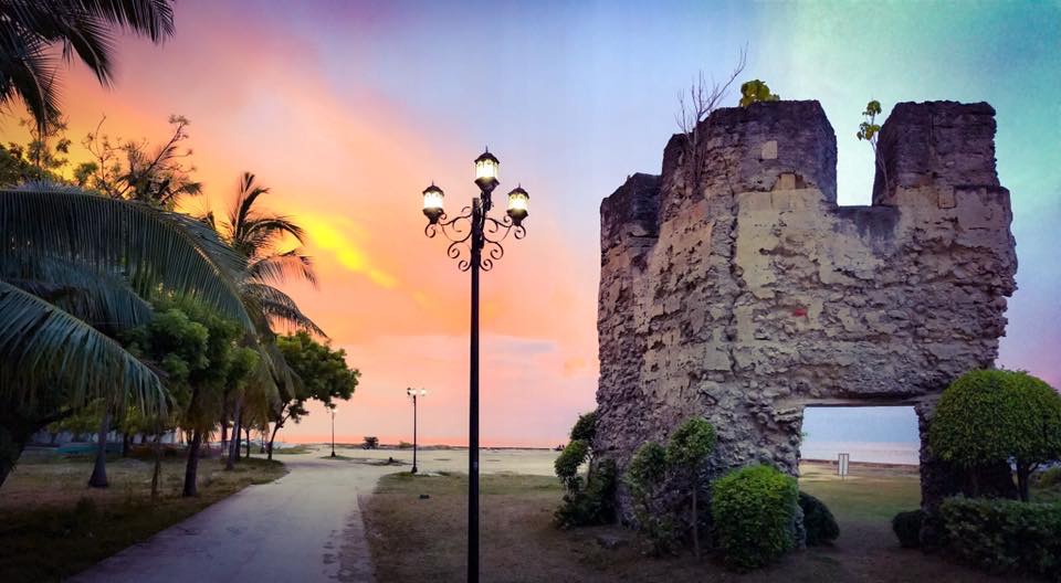 New Experiences swimming with Whale Sharks in Cebu Philippines, Oslob