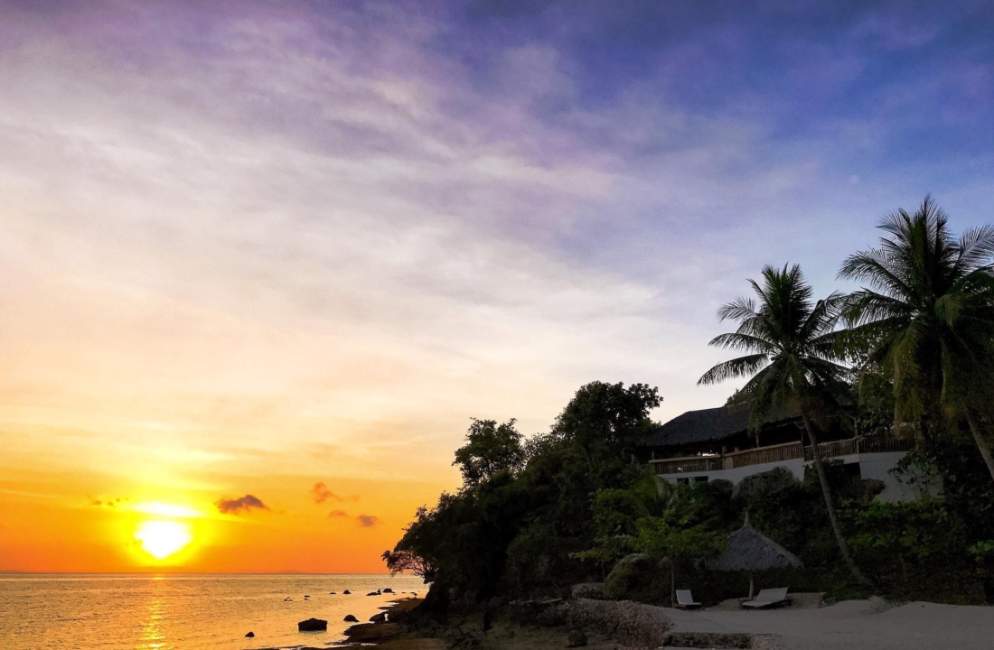 New Experiences swimming with Whale Sharks in Cebu Philippines, Oslob