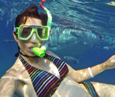 Get the ultimate selfie with a Philippine Oslob Whale Shark on Cebu