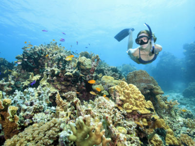 snorkelling tour off our house reef sumilon island