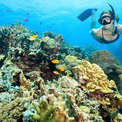 Top 10 Best things to do while staying in Oslob, Cebu, Snorkeling