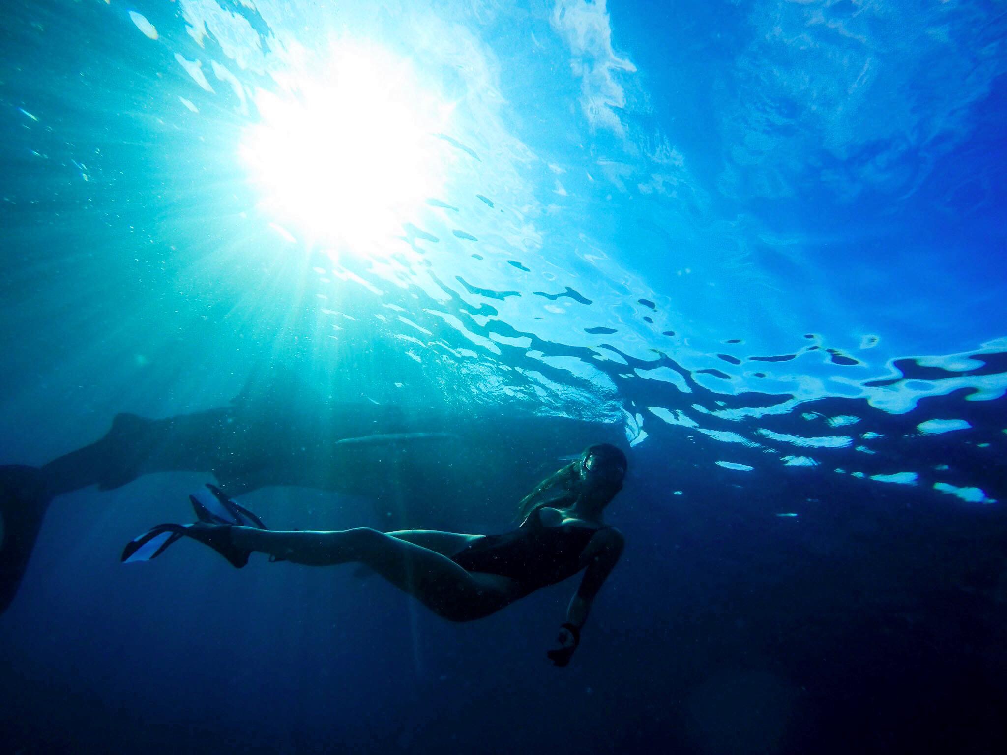 New Experiences swimming with Whale Sharks in Cebu Philippines, Oslob