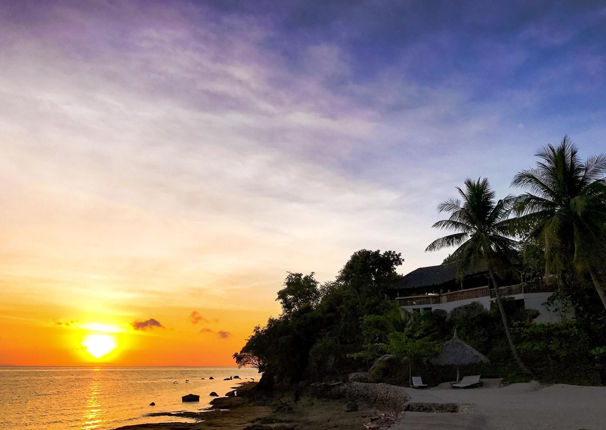 New Experiences swimming with Whale Sharks in Cebu Philippines, Oslob