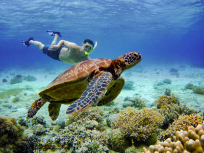 Underwater Photography Philippines Holiday Sumilon Island Swimming snorkel snorkelling turtles