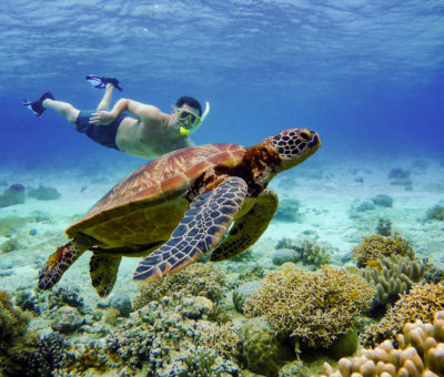 Underwater Photography Philippines Holiday Sumilon Island Swimming snorkel snorkelling turtles