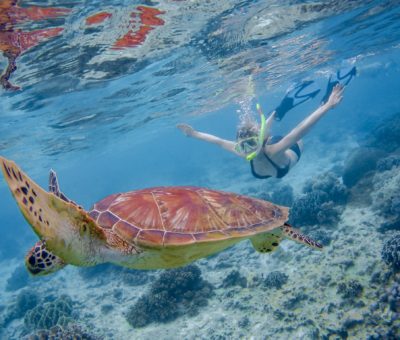 Girl Bikini snorkeling with turtles at Sumilon Island Sandbar snorkel tour Oslob Cebu Philippines