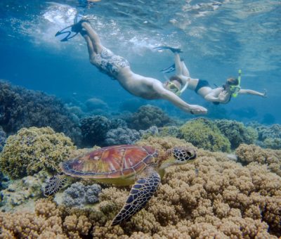 Snorkelling Philippines at Sumilon Island with Granada Beach Resort coral reef