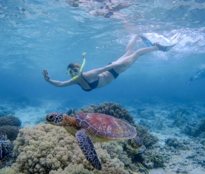 Sumilon Snorkeling Philippines turtles Oslob Cebu Beach Resort